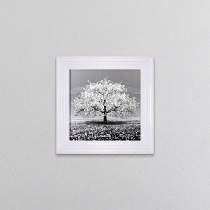 White Cherry Tree Framed Wall Art 55x55cm