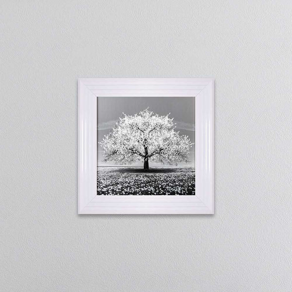 White Cherry Tree Framed Wall Art 55x55cm