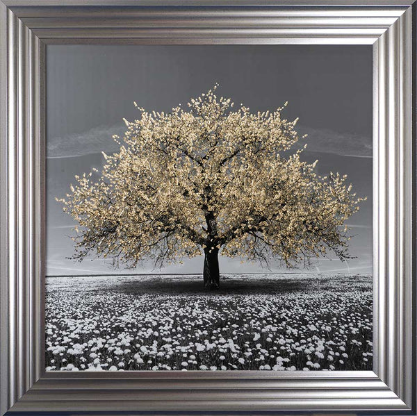 Champagne Cherry Tree Framed Wall Art 75x75cm