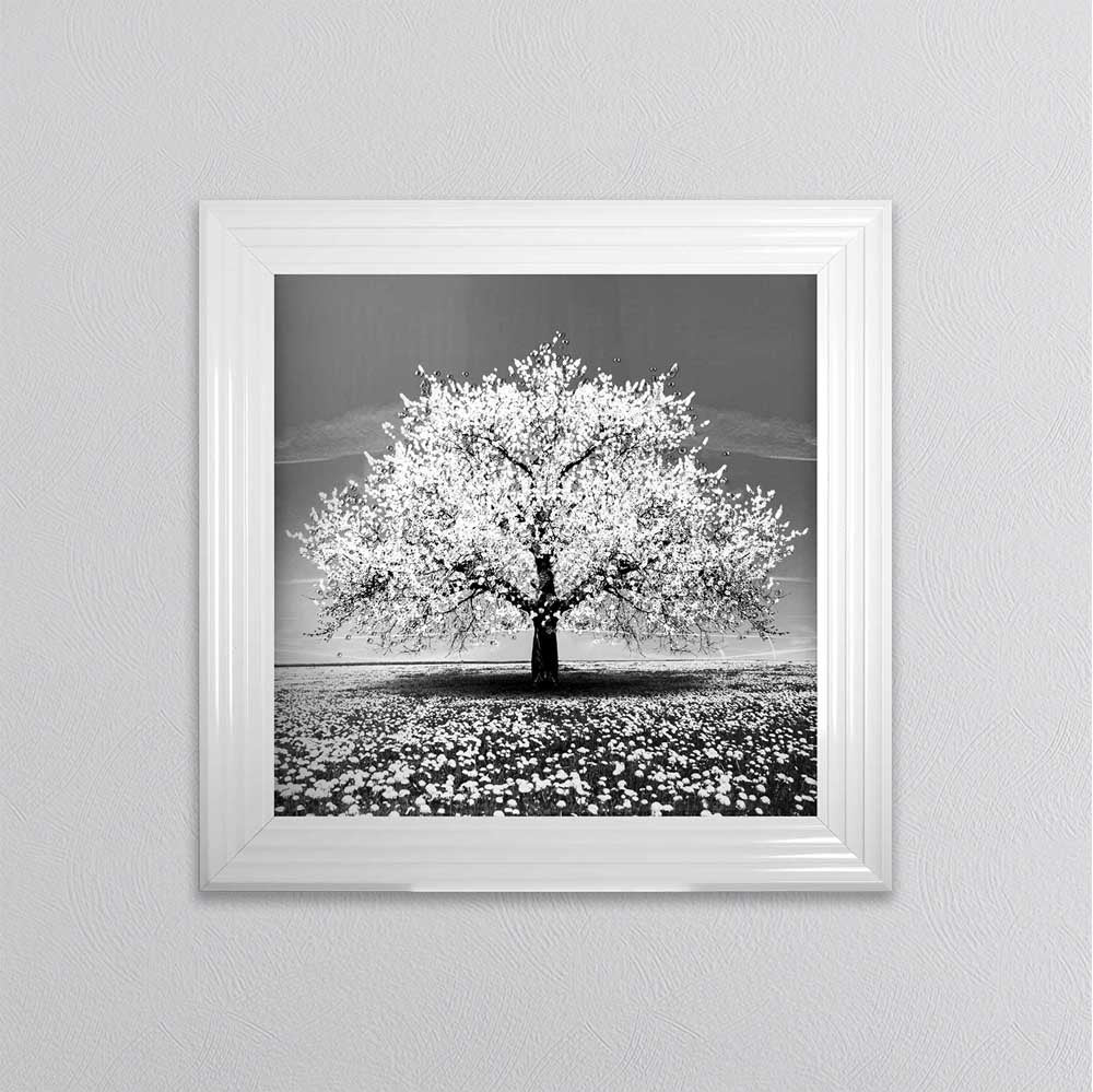 White Cherry Tree Framed Wall Art 75x75cm