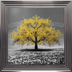 Yellow Cherry Tree Framed Wall Art 75x75cm