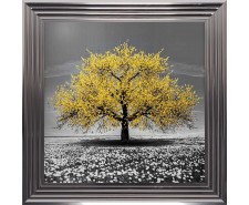  Yellow Cherry Tree Framed Wall Art 75x75cm  