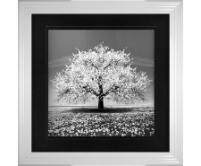    White Cherry Tree Framed Wall Art 90x90cm  