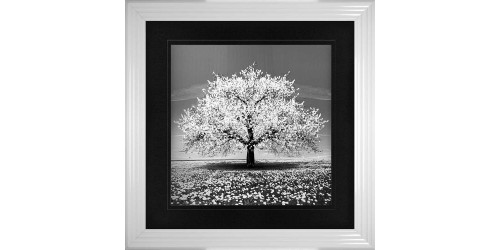    White Cherry Tree Framed Wall Art 90x90cm  
